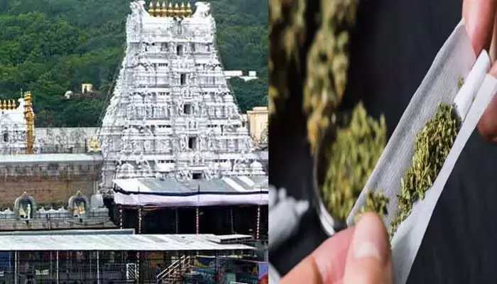 Breaking News : తిరుమల సంస్కృత యూనివర్సిటీలో గంజాయి కలకలం Breaking News : తిరుమల సంస్కృత యూనివర్సిటీలో గంజాయి కలకలం