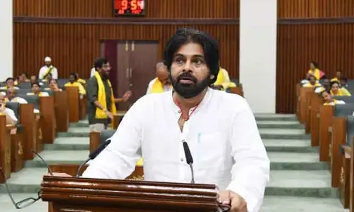 జాబ్‌ కార్డుల్లో అవకతవకలు.. ఉపాధి పథకం నిధుల మళ్లింపుపై లోతు విచారణ : డిప్యూటీ సీఎం