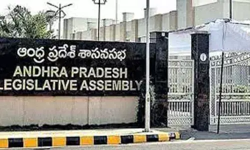 AP Assembly : పీఏసీ చైర్మన్ ఎన్నికను బాయ్ కాట్ చేసిన వైసీపీ