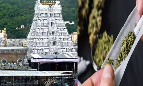 Breaking News : తిరుమల సంస్కృత యూనివర్సిటీలో గంజాయి కలకలం