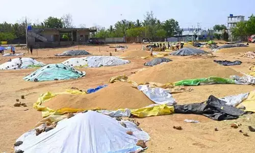 ధాన్యం కొనుగోల పట్టదా?