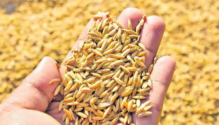 సీడ్ బౌల్ ఆఫ్ తెలంగాణలో నారు పోసే దిక్కు లేదు.. సీడ్ బౌల్ ఆఫ్ తెలంగాణలో నారు పోసే దిక్కు లేదు..
