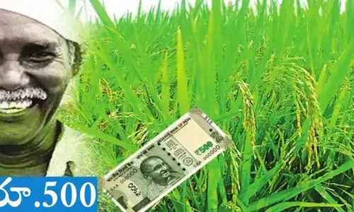 Nijamabad: రూ.500 బోనస్‌ వచ్చేసింది.. జిల్లా వ్యాప్తంగా రైతుల సంబరాలు