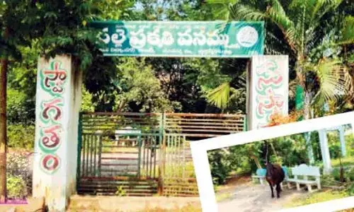 Kothagudem: ఆహ్లాదం పంచని ప్రకృతి వనం..? అంతటా అపరిశుభ్ర వాతావరణం