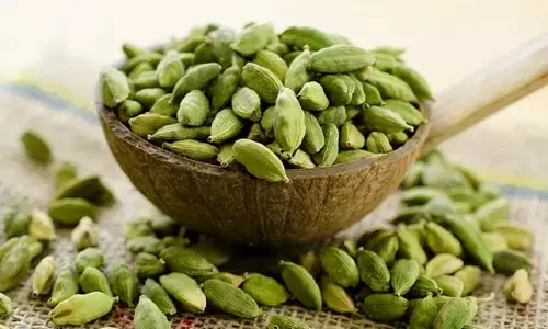 Cardamom: రోజూ ఇలాచీ తింటే ఆ అనారోగ్య సమస్యలన్నింటికీ సులభంగా చెక్ పెట్టొచ్చు!