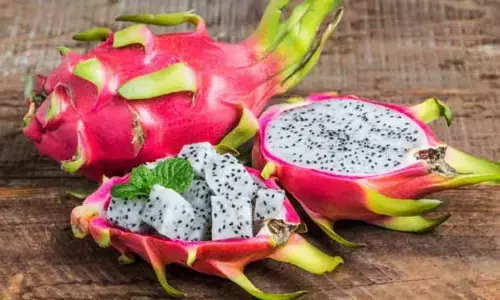 Dragon Fruit : డ్రాగన్ ఫ్రూట్ బెనిఫిట్స్.. డయాబెటిస్ ఉన్నవారు తినొచ్చా?