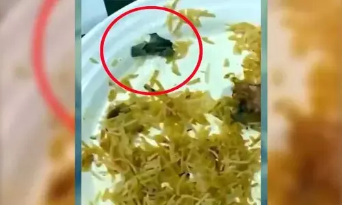 Bawarchi Biryani : బావర్చి బిర్యానీలో సగం తాగిన సిగరెట్ పీక... ఆగ్రహం వ్యక్తం చేసిన కస్టమర్లు