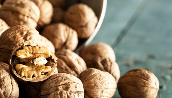 Walnuts: చలికాలంలో వీటిని గుప్పెడు తింటే చాలు..! Walnuts: చలికాలంలో వీటిని గుప్పెడు తింటే చాలు..!