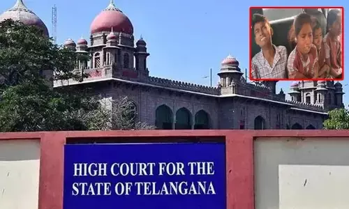High Court: ఫుడ్ శాంపిల్స్ ల్యాబ్‌కు పంపించండి.. ప్రభుత్వానికి హైకోర్టు ఆదేశాలు