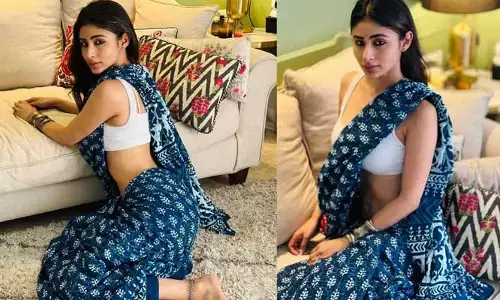 Mouni Roy: చీరలో నాగిని బ్యూటీ అందాల ఆరబోత..