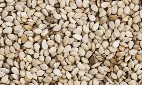 Sesame Seeds: నువ్వులు తినడం వలన మన ఆరోగ్యానికి కలిగే ప్రయోజనాలు ఇవే