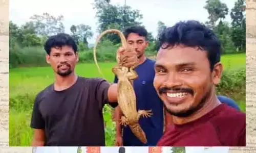 Monitor lizard curry : ఉడుము కూరపై వీడియో...ఇద్దరి అరెస్టు