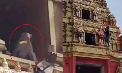 Monkey : కొండగట్టు అంజన్న ఆలయంలో కోతి వింత చేష్ట