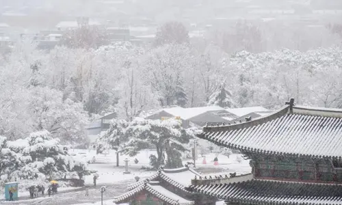 South korea: దక్షిణ కొరియాలో రెండో రోజూ భారీగా మంచు.. ఐదుగురు మృతి