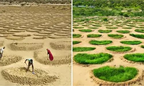China : 3.2 కోట్ల హెక్టార్ల ఎడారిని అడవిగా మార్చిన చైనా
