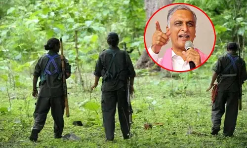 Harish Rao : విజయోత్సవాల సమయంలో ఈ బూటకపు ఎన్ కౌంటర్ ఏంటి? హరీశ్ రావు ఫైర్