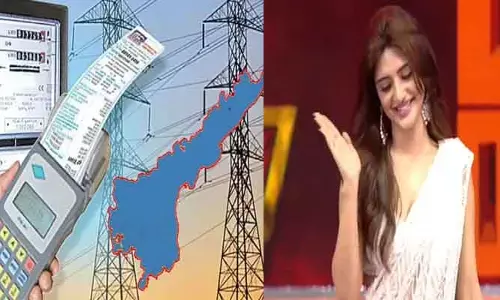 Pushpa 2 : విద్యుత్తు చార్జీల పోస్టులపై పుష్ప 2 సాంగ్ తో వార్నింగ్ !