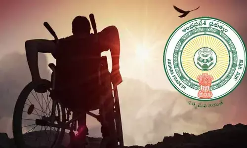 AP Govt.: దివ్యాంగులకు భారీ గుడ్ న్యూస్.. మంత్రి బాల వీరాంజనేయస్వామి కీలక ప్రకటన