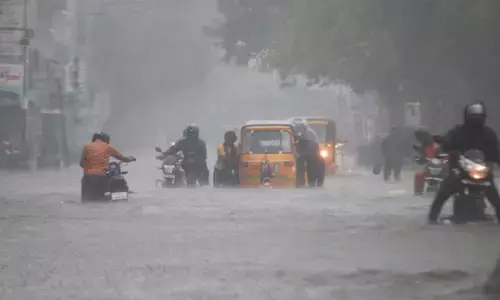 Cyclone Fengal: తమిళనాడులో ఫెయింజల్ తుఫాను బీభత్సం.. 10 మంది మృతి