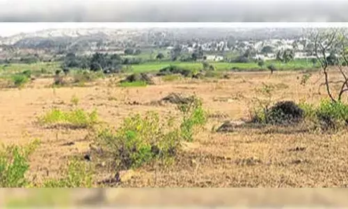 Big News: ఫార్మాసిటీకి భూదాన్ భూములు..? 250 ఎకరాలు అప్పనంగా కలిపేసి పరిహారం