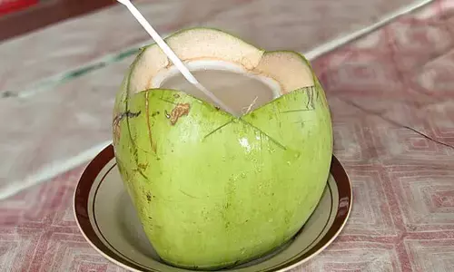 Coconut Water: కొబ్బరి నీళ్లు చలికాలంలో తాగొచ్చా? నిపుణులు ఏం చెబుతున్నారంటే?