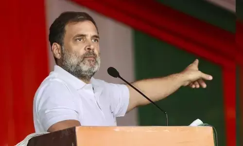 Rahul Gandhi: దేశాన్ని అస్థిరపరిచేందుకు కుట్ర చేస్తున్నారు- బీజేపీ ఎంపీ
