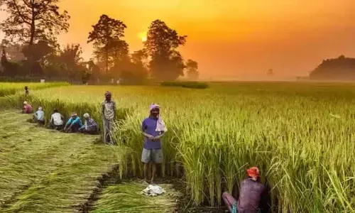 PM Kisan : ‘పీఎం-కిసాన్’తో అక్రమ లబ్ధి..  అనర్హుల నుంచి రూ.335 కోట్ల రికవరీ