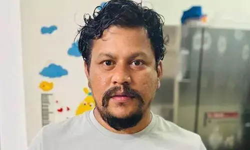 AEE Nikesh Kumar: ఏఈఈ నిఖేశ్‌ కుమార్‌ ను కస్టడీకి కోరుతూ ఏసీబీ పిటిషన్