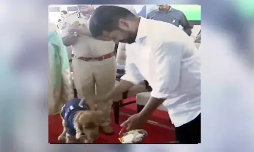 CM Revanth Reddy : ప్రజా పాలన విజయోత్సవాల్లో సీఎం రేవంత్ రెడ్డికి పుష్పగుచ్ఛం అందజేసిన మాయ