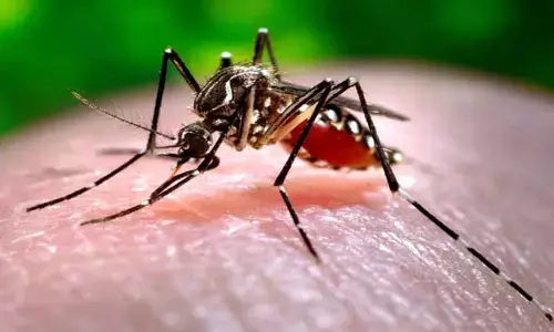 Facts: దోమలకు ఇష్టమైన బ్లెడ్ గ్రూప్ ఏంటో తెలుసా..?