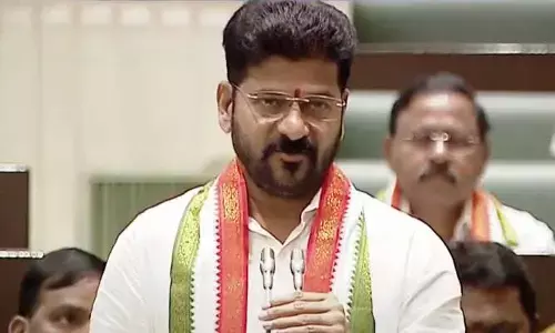CM Revanth Reddy: తెలంగాణ తల్లి అంటే భావన కాదు.. భావోద్వేగం: అసెంబ్లీలో సీఎం రేవంత్ ఆసక్తికర వ్యాఖ్యలు