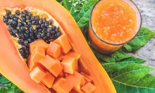 papaya : ఇమ్యూనిటీ బూస్టర్.. చలికాలంలో ఔషధంలా పనిచేస్తున్న బొప్పాయి!