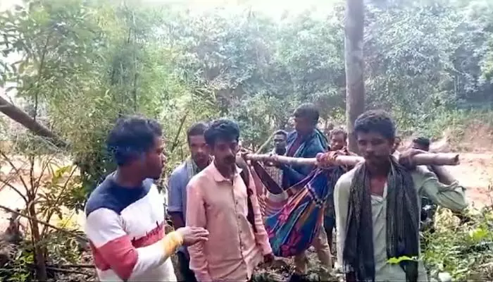 Alluri: గిరిజనులకు తప్పని డోలి కష్టాలు.. రోడ్డు లేక అవస్థలు Alluri: గిరిజనులకు తప్పని డోలి కష్టాలు.. రోడ్డు లేక అవస్థలు