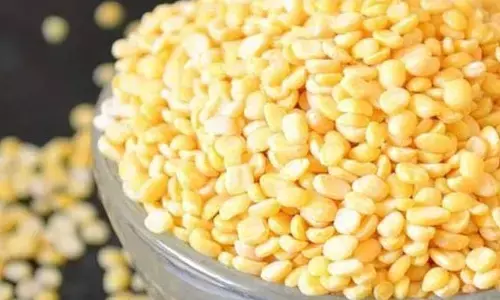 Moong Dal: చలికాలంలో పెసరపప్పు తినొచ్చా..!