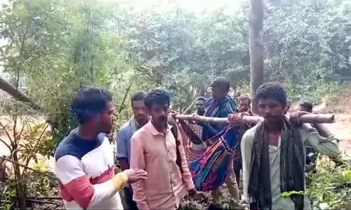 Alluri: గిరిజనులకు తప్పని డోలి కష్టాలు.. రోడ్డు లేక అవస్థలు