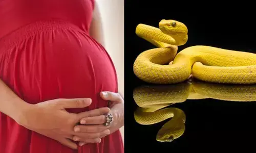 Snake: గర్భిణీ స్త్రీలను పాములు కాటు వేయవు.. దాని వెనుకున్న శాపమేంటో తెలుసా..?