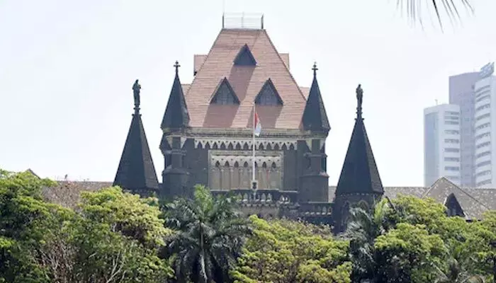 High court: బిడ్లని తల్లికి దూరం చేయడం క్రూరత్వమే.. బాంబే హైకోర్టు కీలక వ్యాఖ్యలు High court: బిడ్లని తల్లికి దూరం చేయడం క్రూరత్వమే.. బాంబే హైకోర్టు కీలక వ్యాఖ్యలు