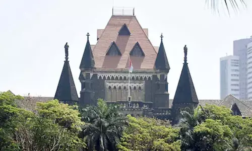 High court: బిడ్లని తల్లికి దూరం చేయడం క్రూరత్వమే.. బాంబే హైకోర్టు కీలక వ్యాఖ్యలు