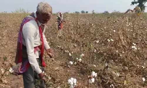 రైతు కష్టానికి విలువ దొరకదా..?