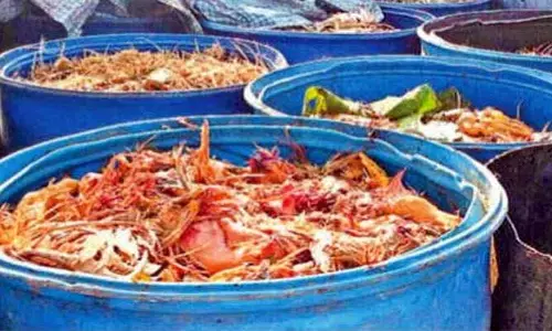Thandoor: చికెన్ వ్యర్థాలతో దందా!.. కొనసాగుతున్న రవాణా