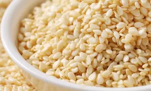Sesame Seeds: చలికాలంలో నువ్వులు ఆరోగ్యానికి మంచివేనా?