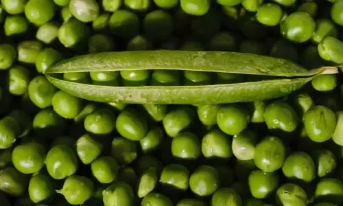 Green Matar: గ్రీన్ మటర్‌ తో ఆ సమస్యలకు సులభంగా చెక్ పెట్టొచ్చు!