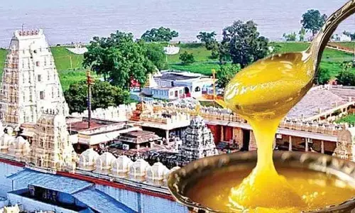 ప్రైవేటు సంస్థకే.. భద్రాచలం నెయ్యి కాంట్రాక్టు