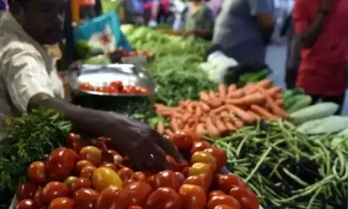 Wholesale Inflation: మూడు నెలల కనిష్టానికి టోకు ద్రవ్యోల్బణం