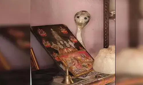 Viral: దేవుడి ఫోటో వెనుక వచ్చి చేరిన నాగుపాము.. చూసేందుకు ఎగబడిన జనం