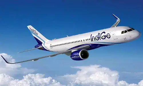 IndiGo: గాల్లో ఉండగా విమానాన్ని ఢీకొట్టిన పక్షి.. తప్పిన పెను ప్రమాదం