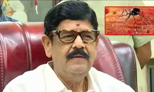 బాలుడికి జికా వైరస్... మంత్రి ఆనం కామెంట్ ఇదే..!