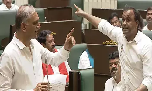 Harish Rao: ‘యూజ్ లెస్ ఫెలో..’ సభలో హరీశ్ రావు వ్యాఖ్యలపై దుమారం