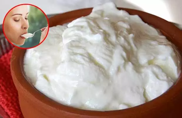 Winter and Yoghurt : చలికాలంలో పెరుగు తింటే నిజంగానే జలుబు చేస్తుందా? Winter and Yoghurt : చలికాలంలో పెరుగు తింటే నిజంగానే జలుబు చేస్తుందా?