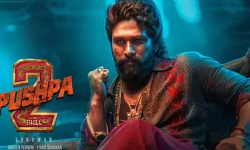 Pushpa-2:‘పుష్ప-2’ మూవీకి బిగ్ షాక్.. అక్కడ షోలు నిలిపివేత?